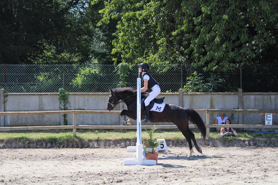 Compétition chevaux Friville-Escarbotin